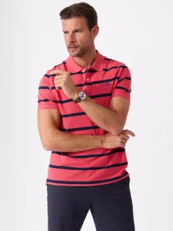 Morgan stripete pique
